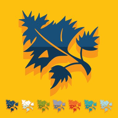 düz tasarım: maydanoz, dereotu