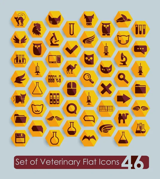 Icônes plates vétérinaires — Image vectorielle