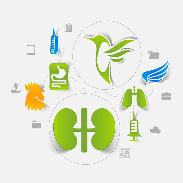 Veterinärmedicinska klistermärke infographic — Stock vektor