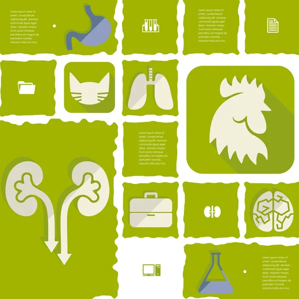 Infographie vétérinaire plate — Image vectorielle