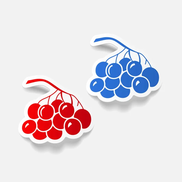 Berries icons — Stock Vector
