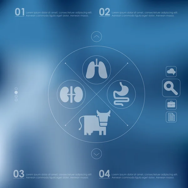 Infographie vétérinaire — Image vectorielle