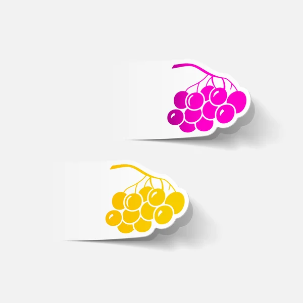 Berries icons — Stock Vector