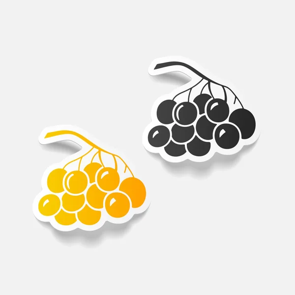 Berries icons — Stock Vector