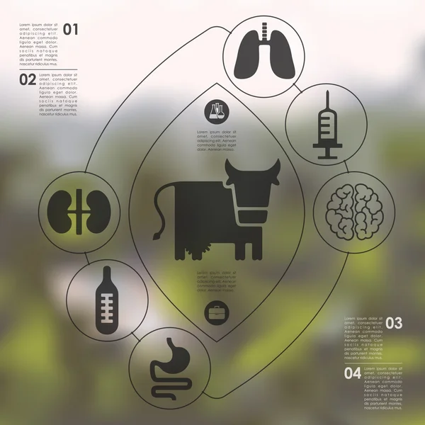 Veteriner Infographic — Stok Vektör