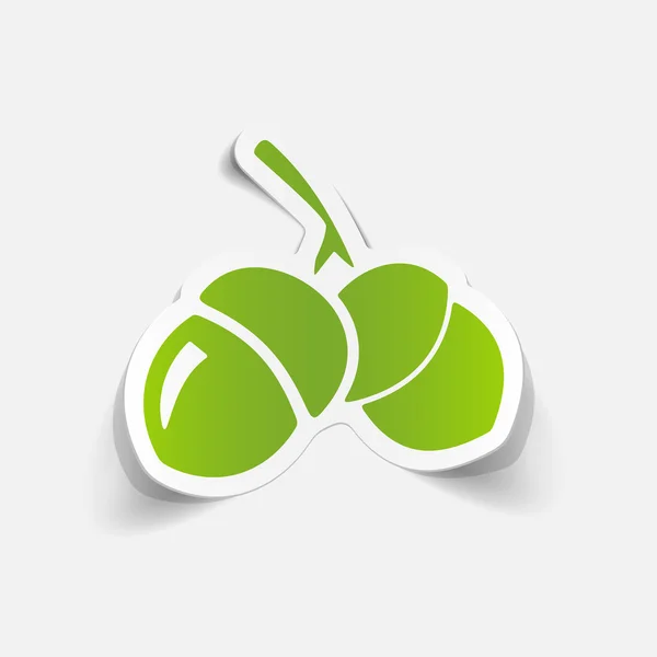 Acorns icon — Stock Vector