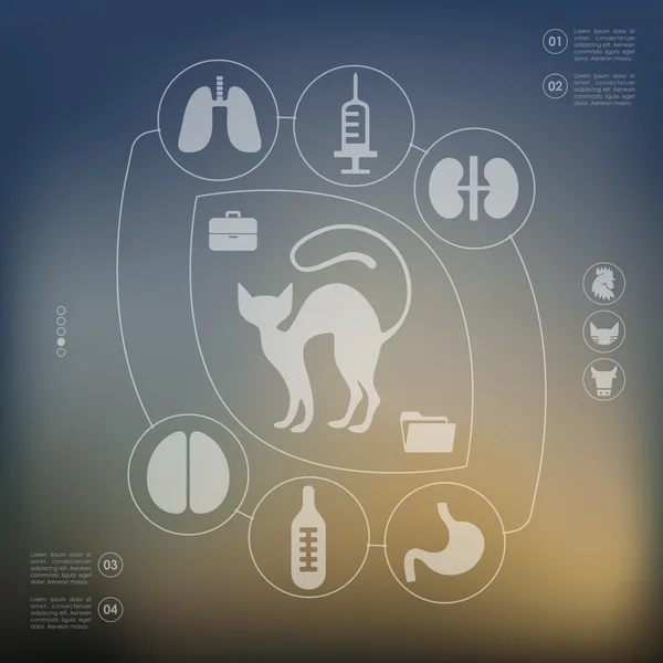 Infographie vétérinaire — Image vectorielle