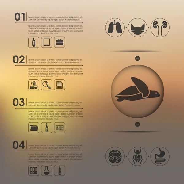 Infografis kedokteran hewan - Stok Vektor