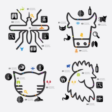 veteriner Infographic