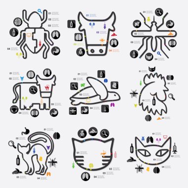 veteriner Infographic