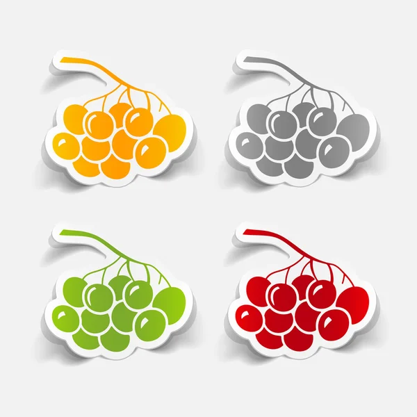 Berries icon — Stock Vector