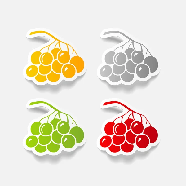 Berries icon — Stock Vector