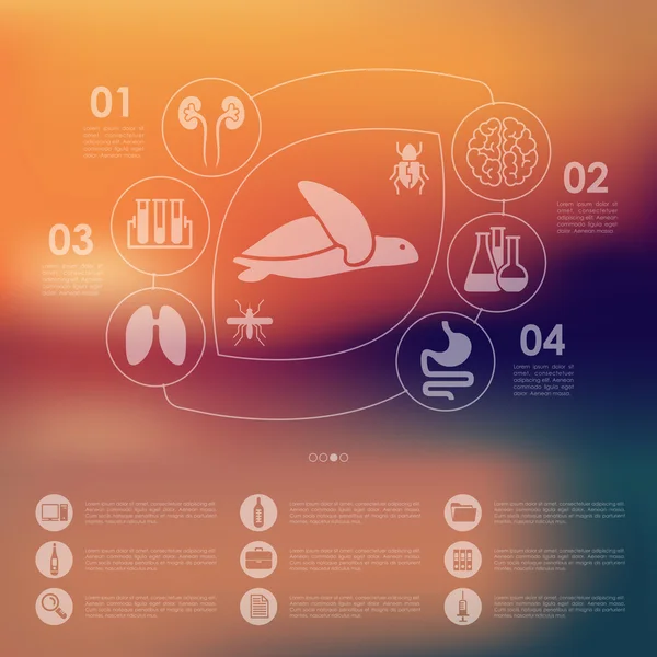 Infographie vétérinaire — Image vectorielle