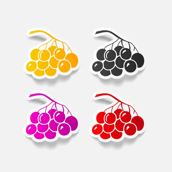 Berries icon — Stock Vector