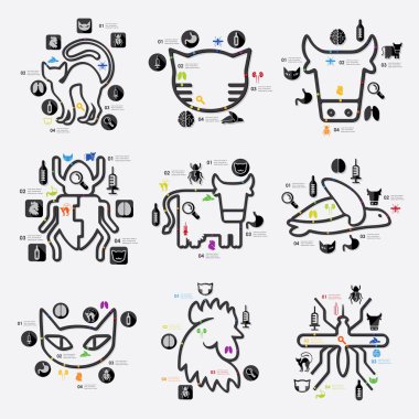 veteriner Infographic