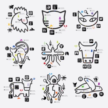 veteriner Infographic