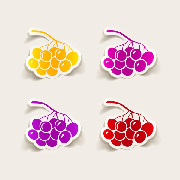 Berries icon — Stock Vector