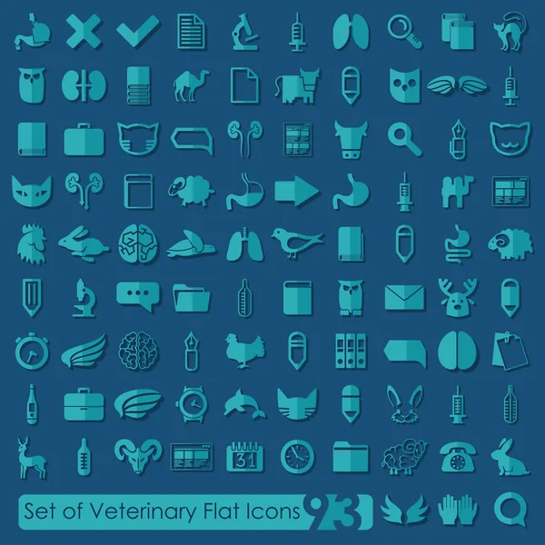 Conjunto de iconos veterinarios — Archivo Imágenes Vectoriales