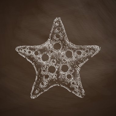 deniz yıldızı simge