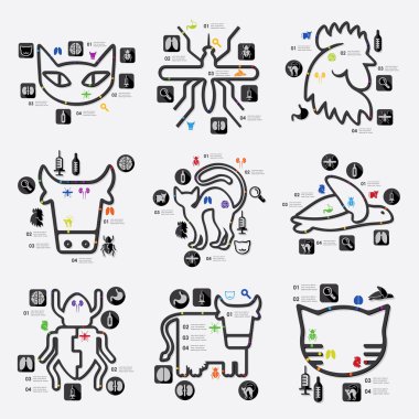 veteriner Infographic