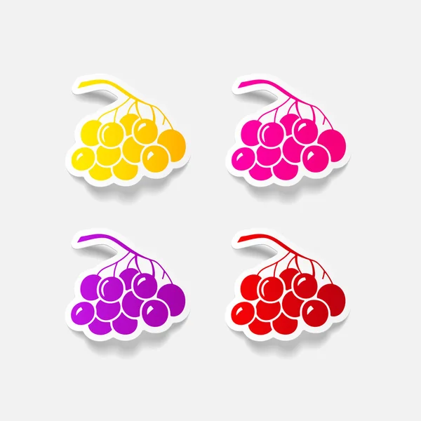 Berries icon — Stock Vector