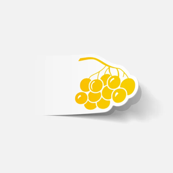 Berries icon — Stock Vector