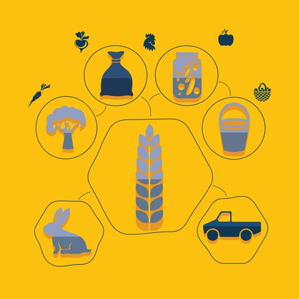 Landwirtschaft flache Infografik — Stockvektor