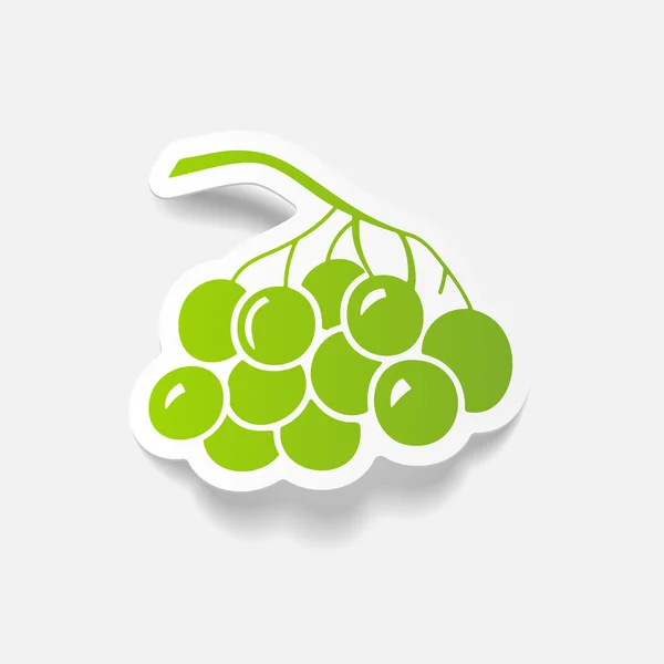 Berries icon — Stock Vector