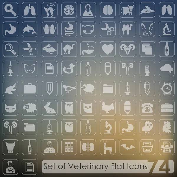 Conjunto de iconos veterinarios — Vector de stock