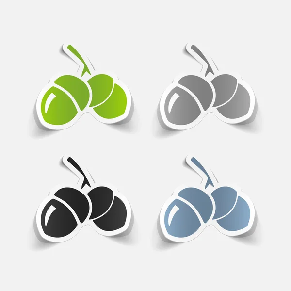 Realistic design element: acorns — Stock Vector