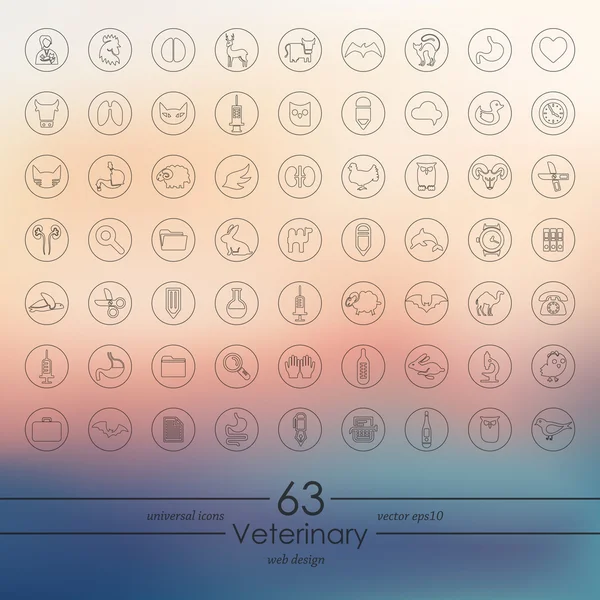 Set van veterinaire pictogrammen — Stockvector