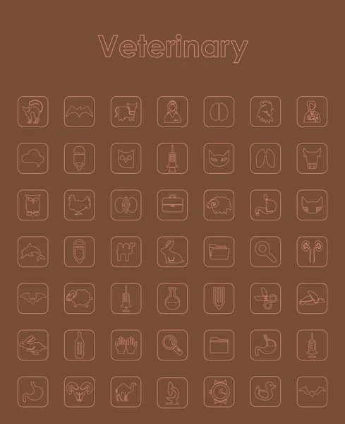 Conjunto de iconos veterinarios simples — Vector de stock