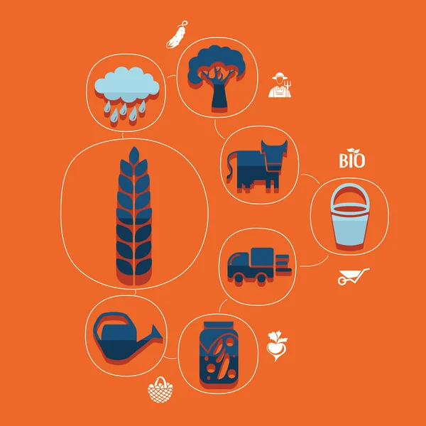 Agriculture infographie plate — Image vectorielle