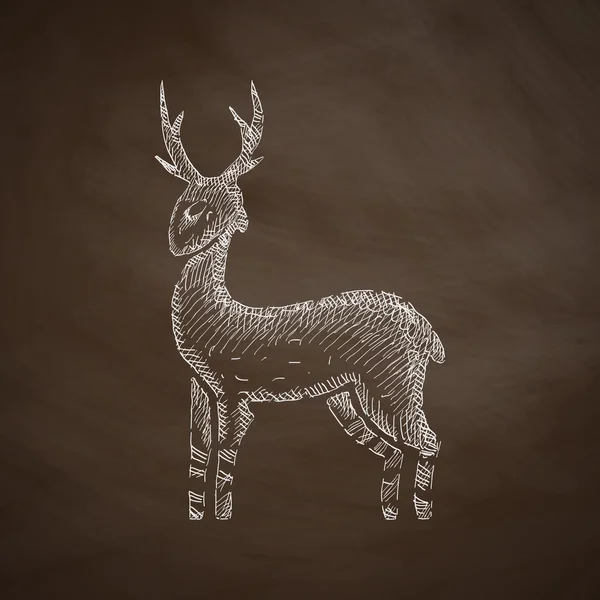 Deer icon on chalkboard — Stock Vector