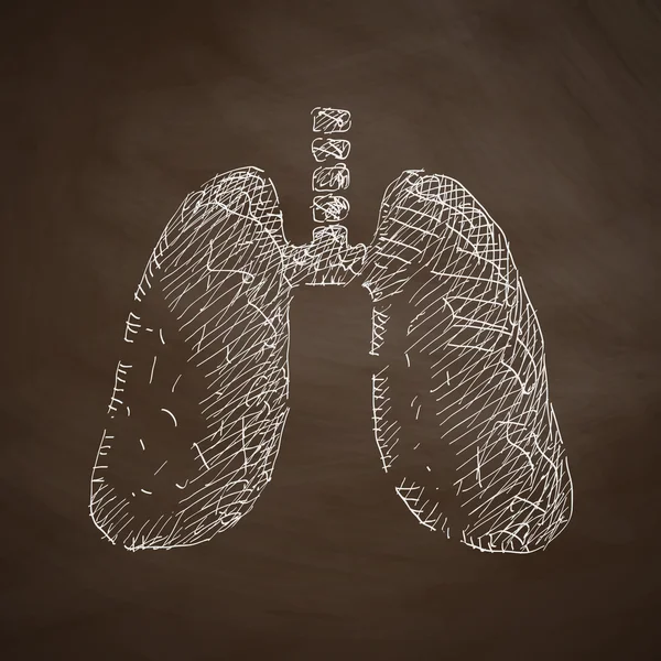 Lung icon on chalkboard — Stock Vector