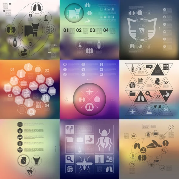 Tierärztliche Infografik — Stockvektor