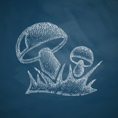 Kara tahta simgesine mantar