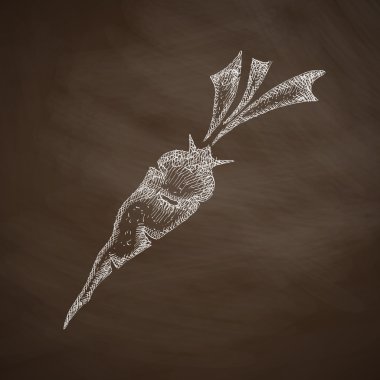 Kara tahta simgesine havuç