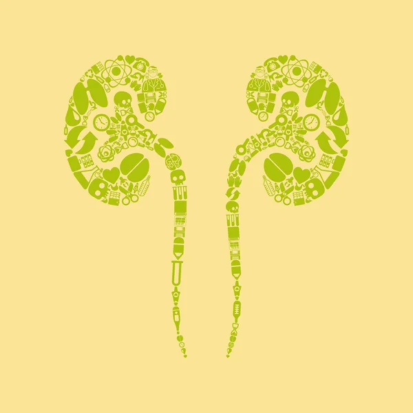 腎臓の形をしたアイコン — ストックベクタ