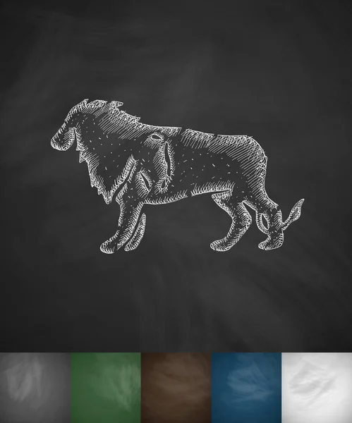 Oroszlán ikon chalkboard — Stock Vector