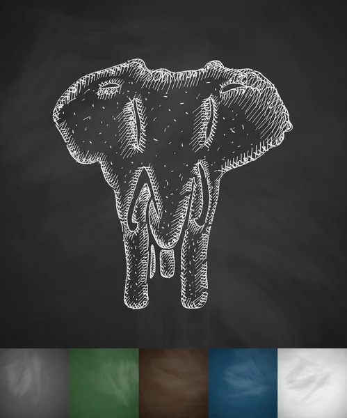 Icono de elefante en pizarra — Vector de stock