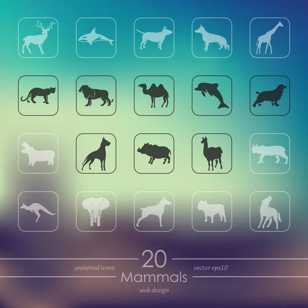 Conjunto de ícones de mamíferos —  Vetores de Stock