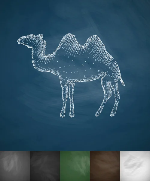Kara tahta üstünde deve kutsal kişilerin resmi — Stok Vektör