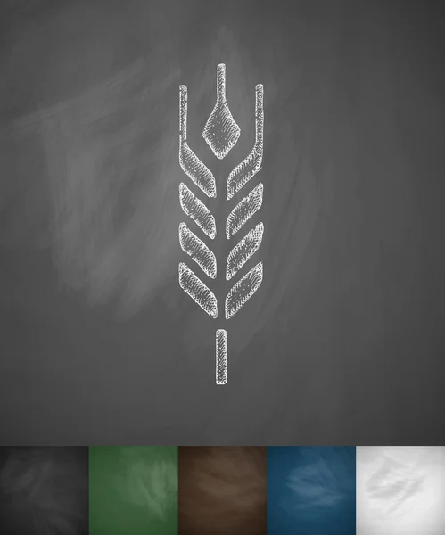 Barley icon on chalkboard — Stock Vector