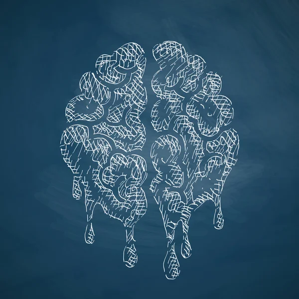 脳のアイコンのスケッチ — ストックベクタ