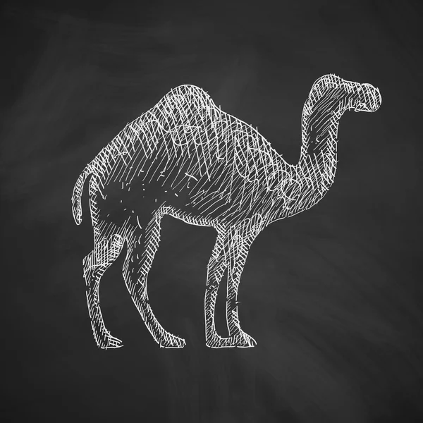 Camel icono de diseño — Archivo Imágenes Vectoriales