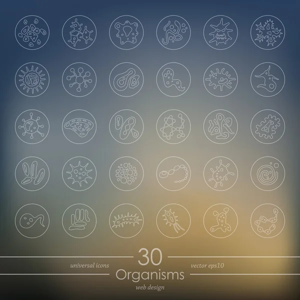 Conjunto de iconos de organismos — Archivo Imágenes Vectoriales