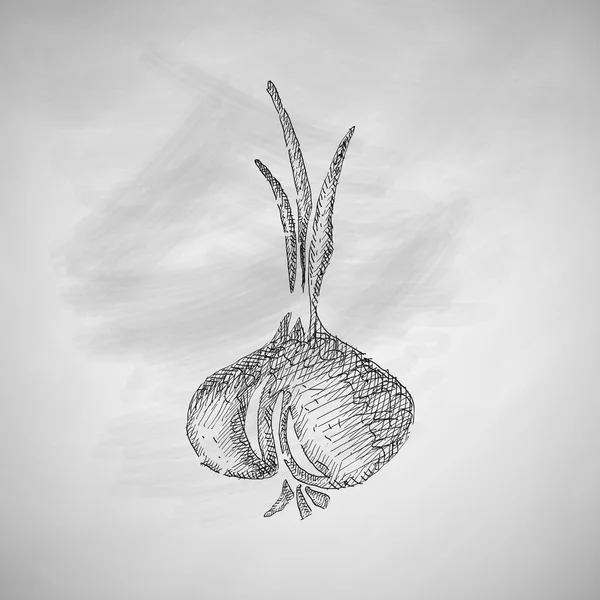 การออกแบบไอคอนหัวหอม — ภาพเวกเตอร์สต็อก