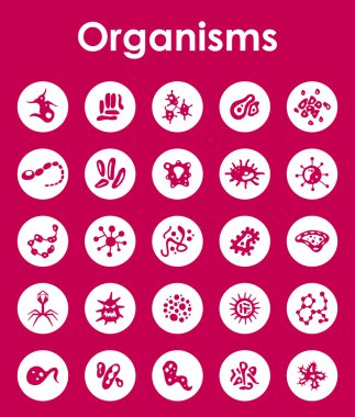 Organizmaların basit simgeler kümesi