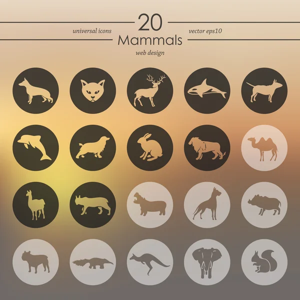 Set van zoogdieren pictogrammen — Stockvector